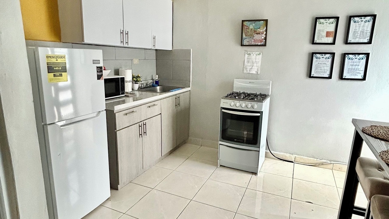 Photo of Kitchen in Eleanor Roosevelt