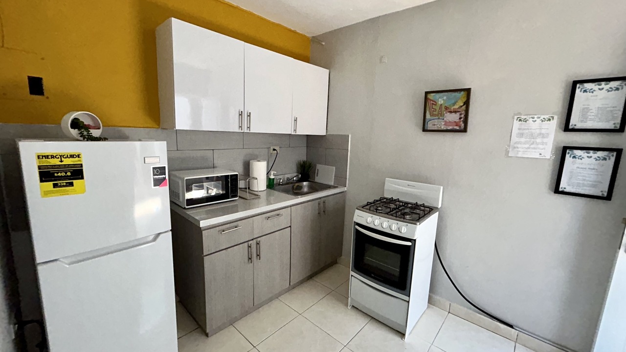 Photo of Kitchen in Eleanor Roosevelt