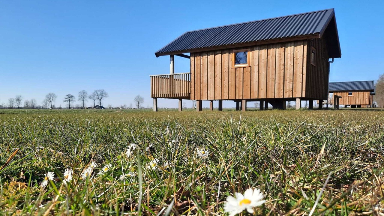 Photo of Outdoor in Ruinerwold