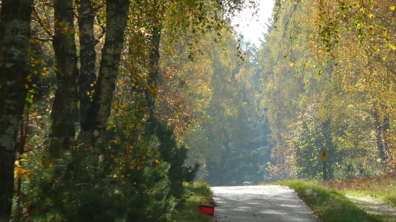 Photo of Outdoor in Oberhavel