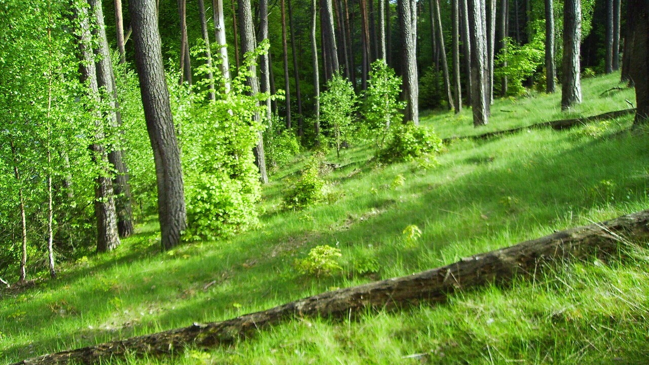 Photo of Outdoor in Oberhavel