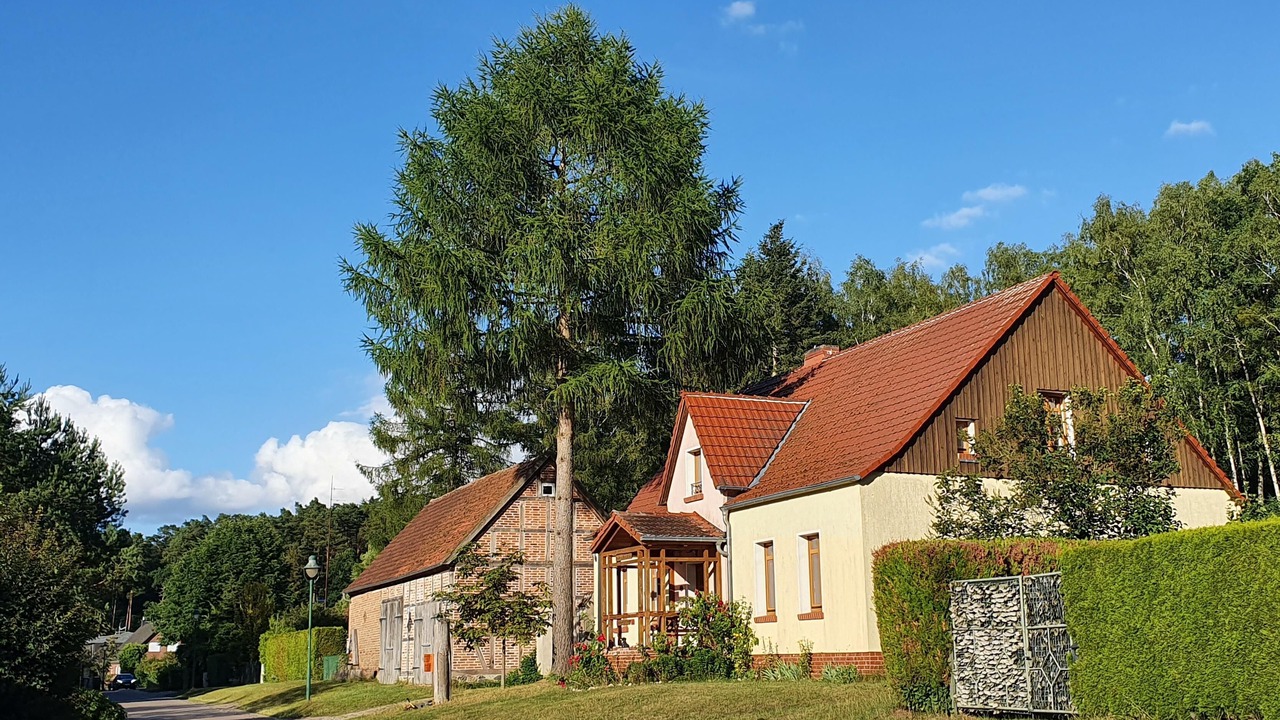 Photo of Outdoor in Oberhavel