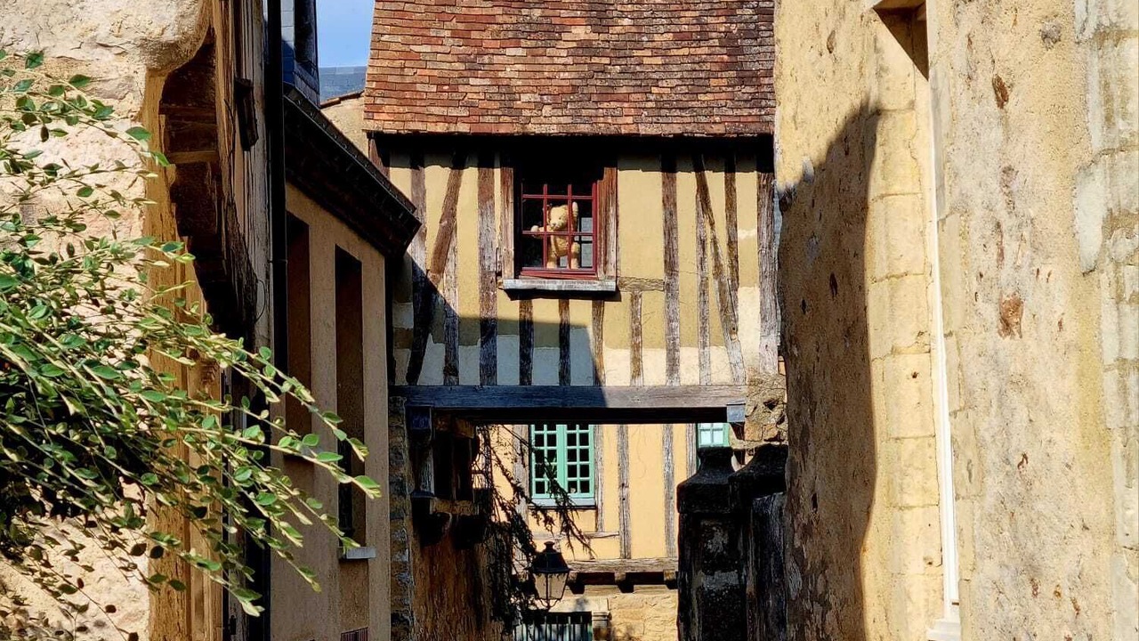 Photo of Outdoor in Bollee