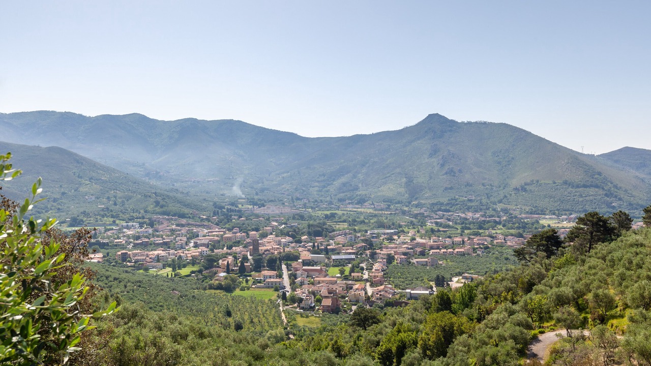Photo of Others in Calci