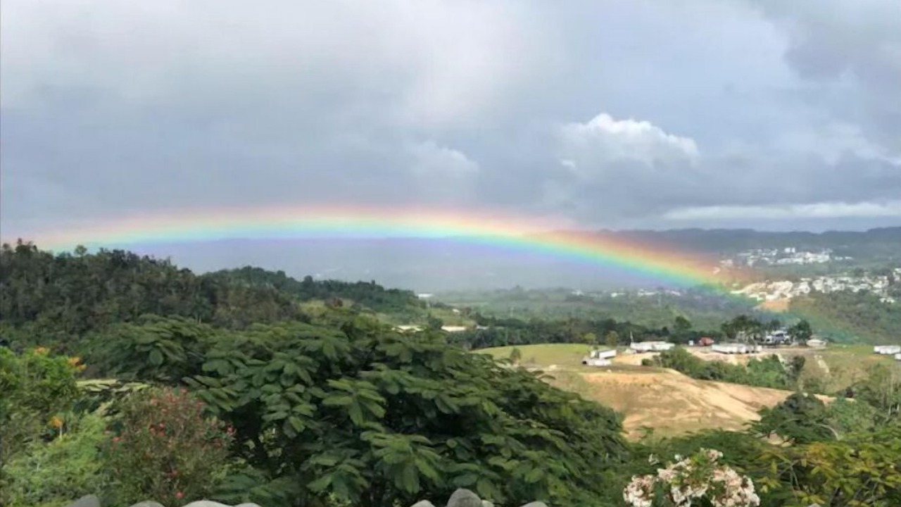 Photo of Others in Morovis