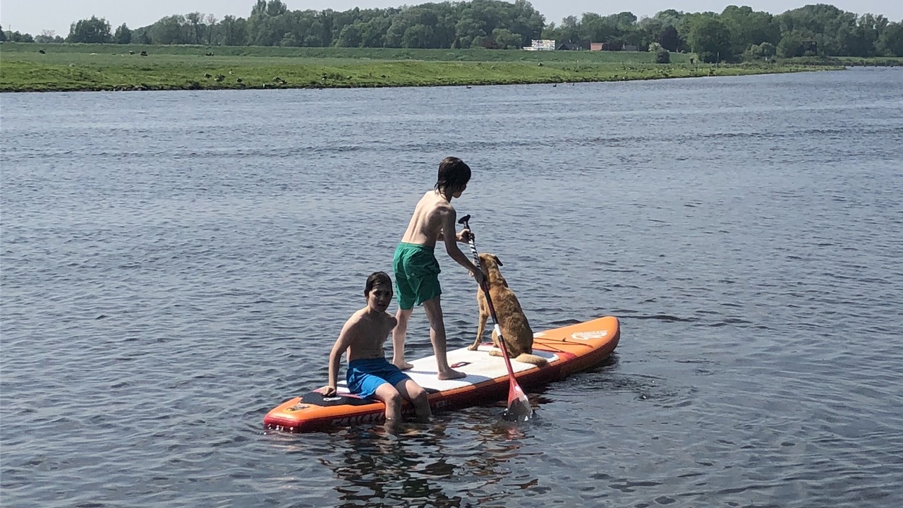 Photo of Others in Allermohe