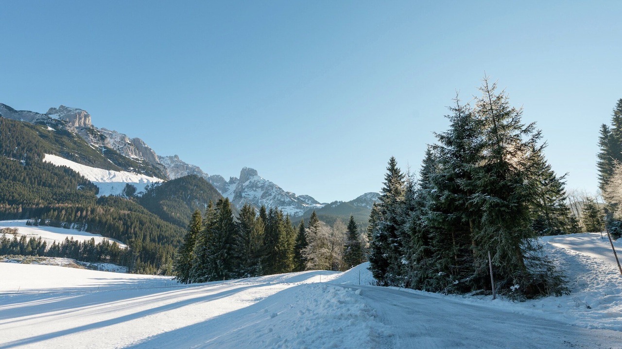 Photo of Others in Annaberg im Lammertal