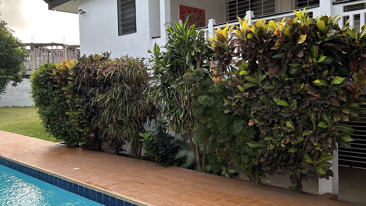 Photo of Outdoor in West Ridge