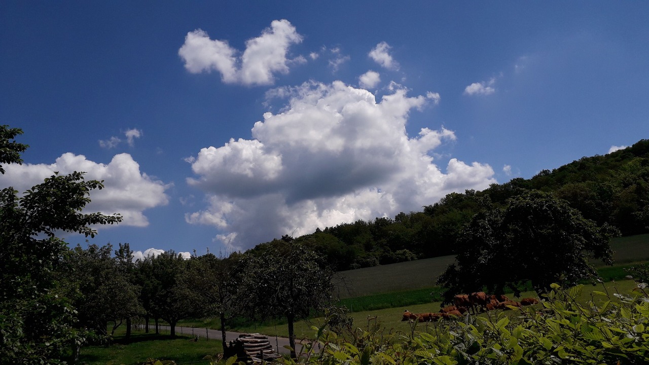 Photo of Others in Niederfell