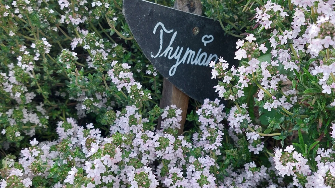 Photo of Outdoor in Niederfell