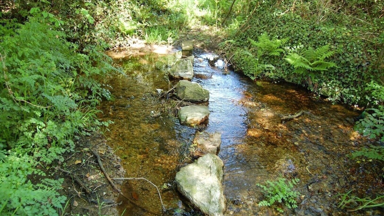 Photo of Outdoor in Plomodiern