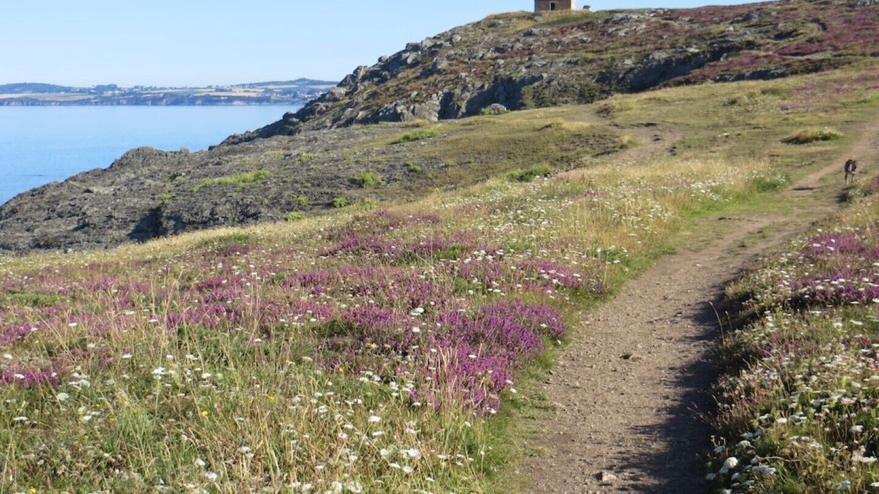 Photo of Outdoor in Plomodiern