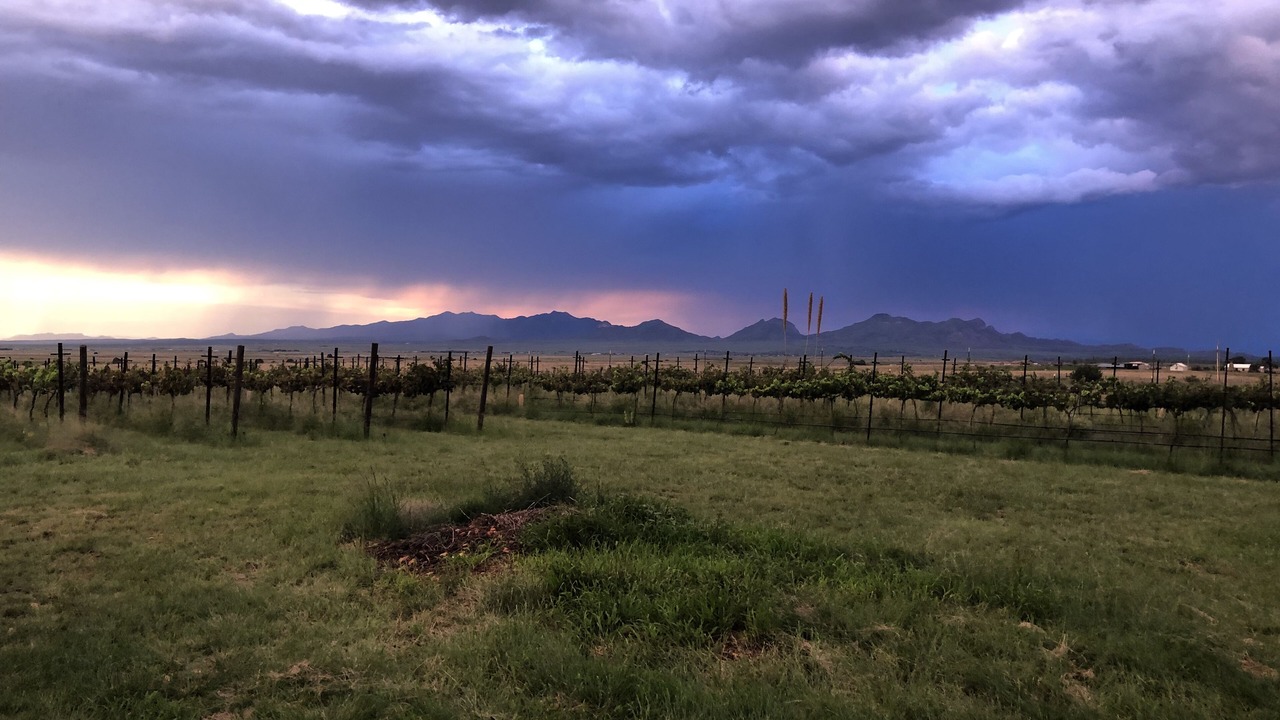Photo of Outdoor in Elgin