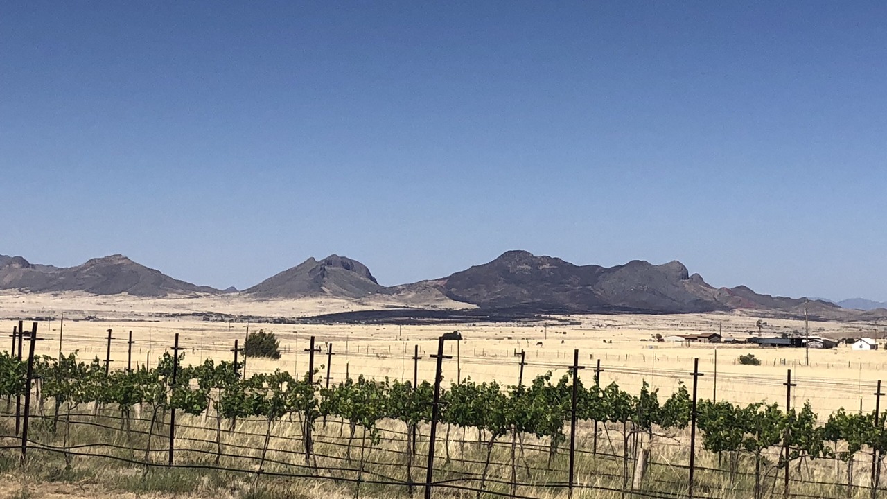 Photo of Outdoor in Elgin