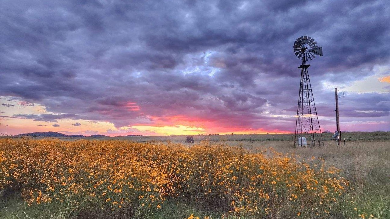 Photo of Outdoor in Elgin