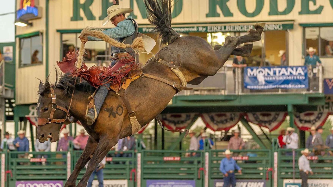 Photo of Others in Northwest Reno