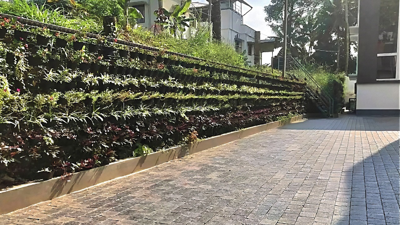 Photo of Outdoor in Nedumangad