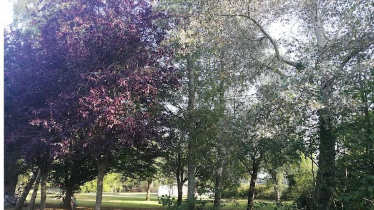 Photo of Outdoor in Le Planquay
