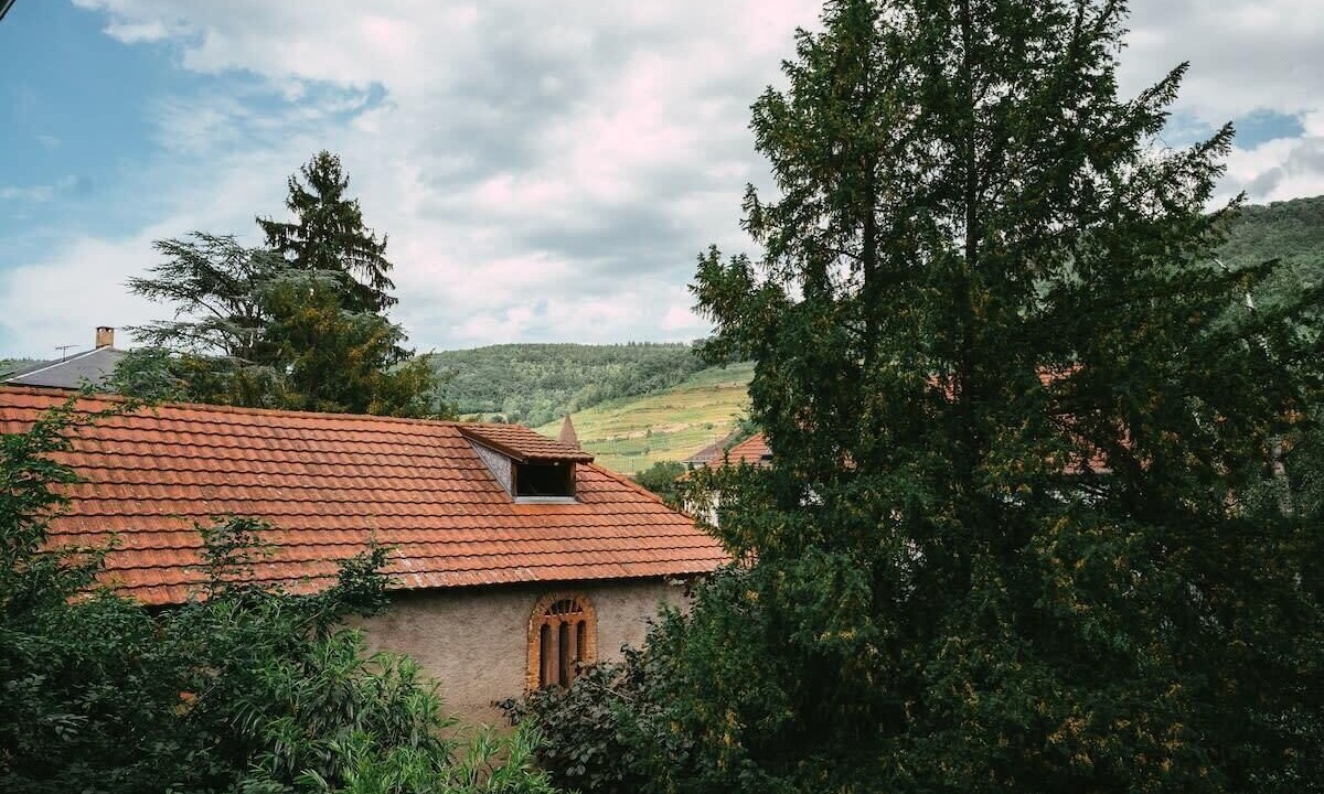 Photo of Others in Guebwiller
