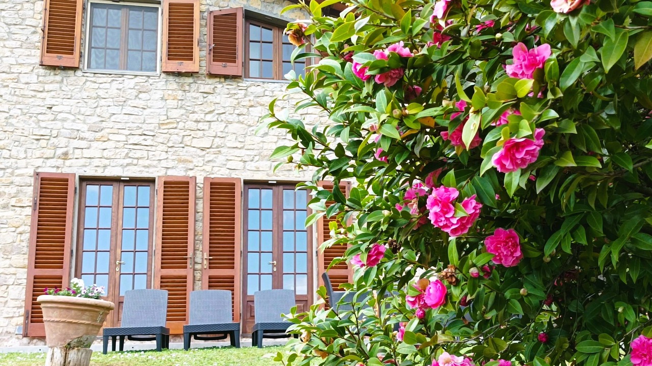 Photo of Outdoor in Pescia