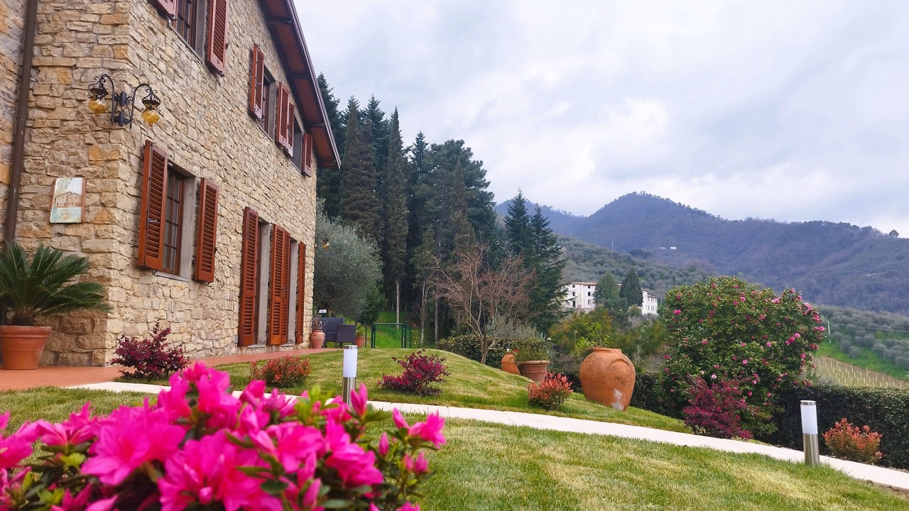 Photo of Outdoor in Pescia