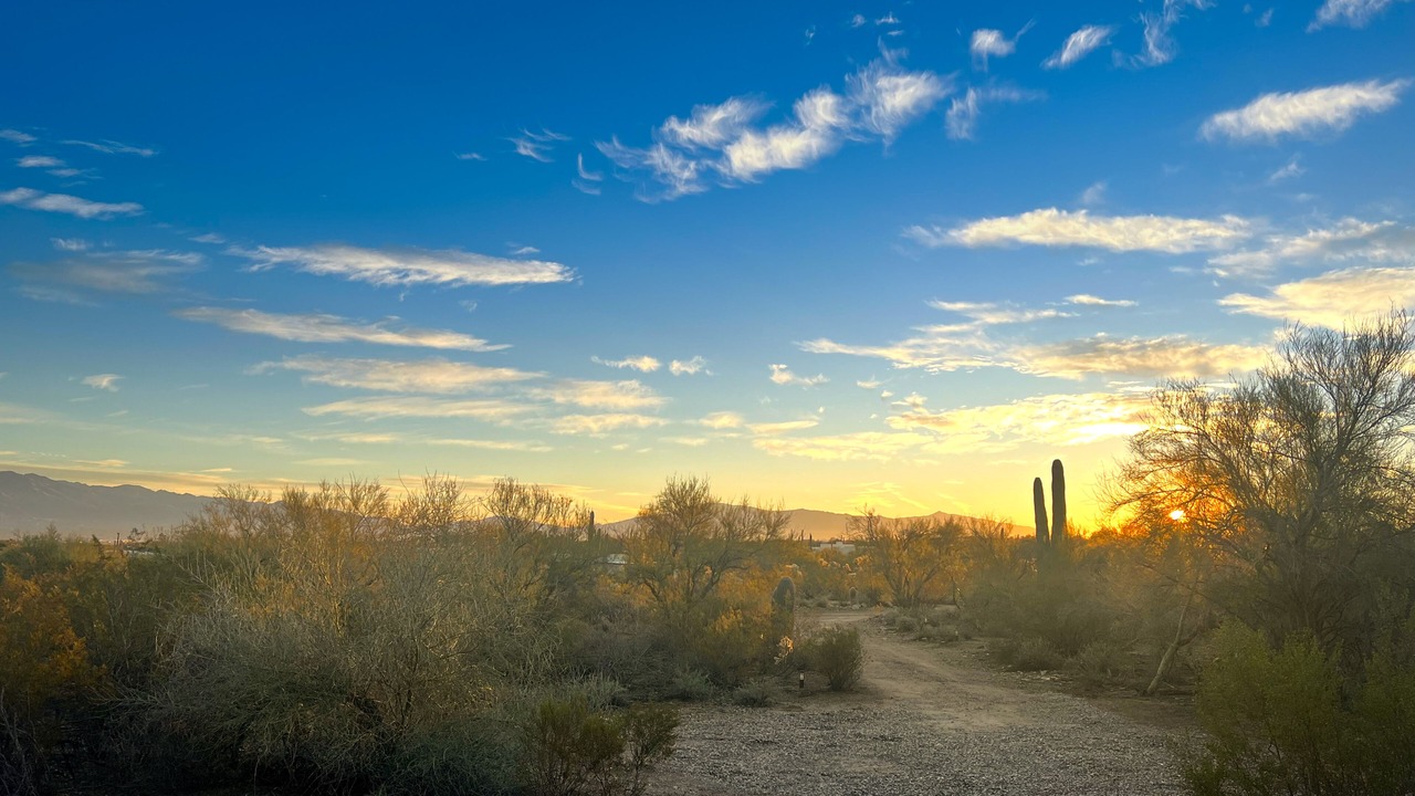 Photo of Outdoor in Tucson
