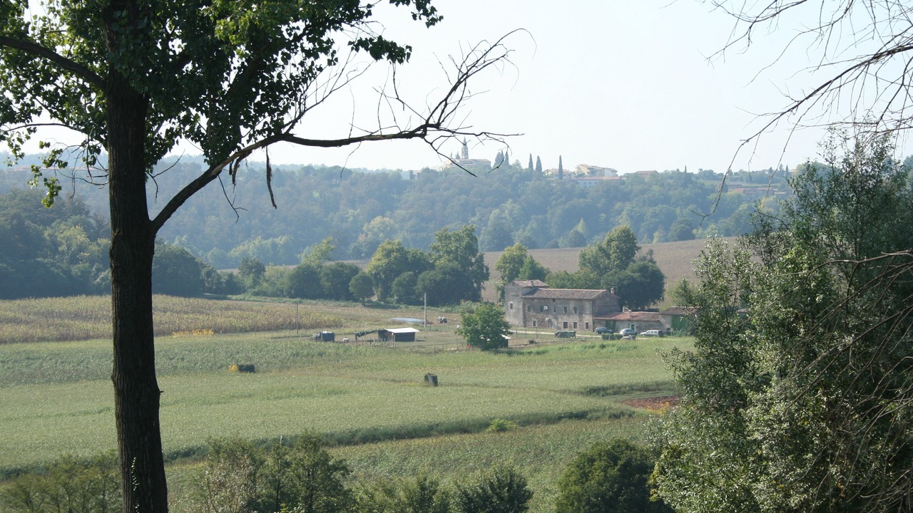 Photo of Outdoor in Valeggio sul Mincio