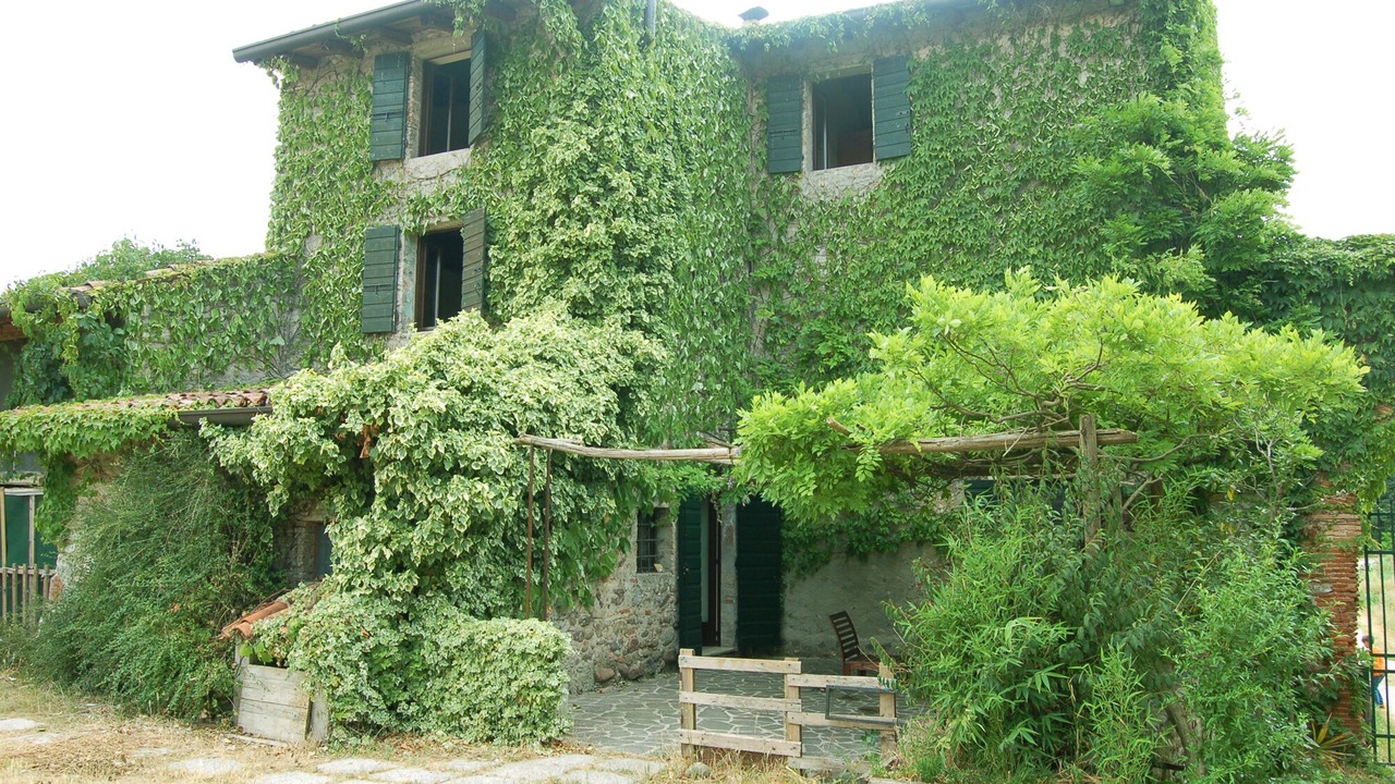 Photo of Outdoor in Valeggio sul Mincio