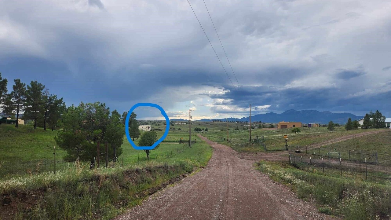 Photo of Others in Elgin