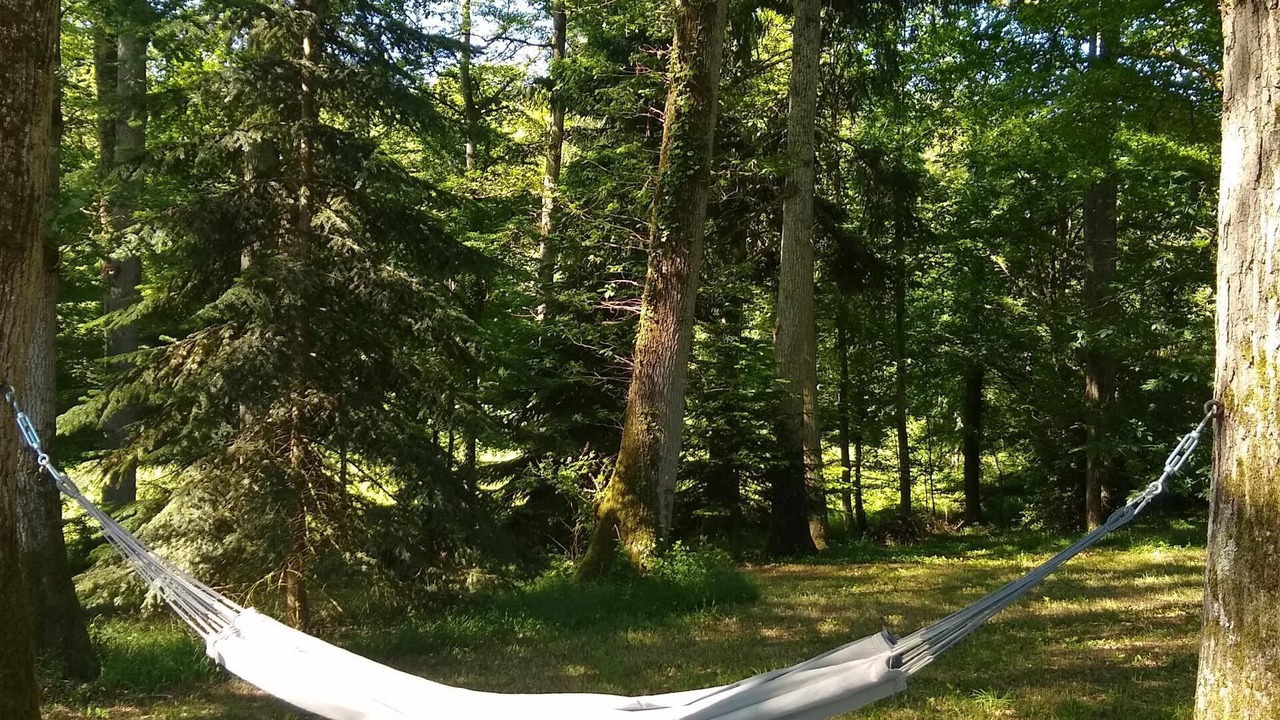Photo of Outdoor in Lunay