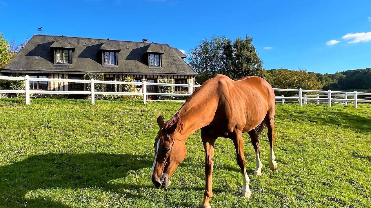 Photo of Outdoor in Hermival-les-Vaux