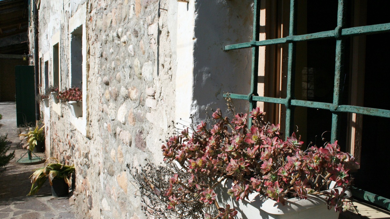 Photo of Outdoor in Valeggio sul Mincio