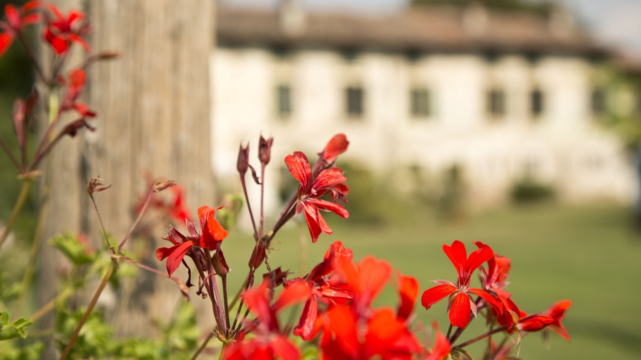 Photo of Outdoor in Valeggio sul Mincio