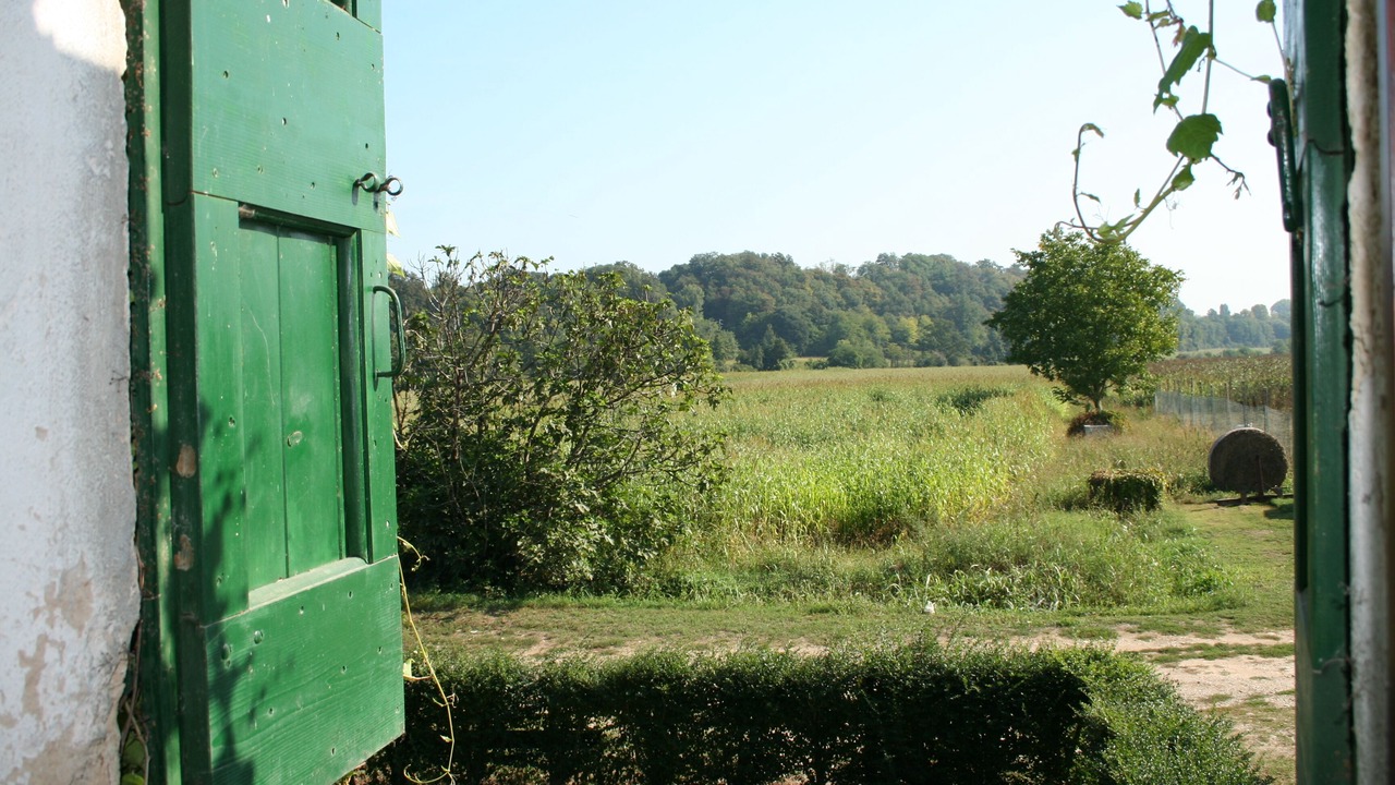 Photo of Outdoor in Valeggio sul Mincio