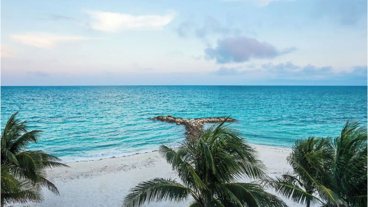 Photo of Others in Palm Cay
