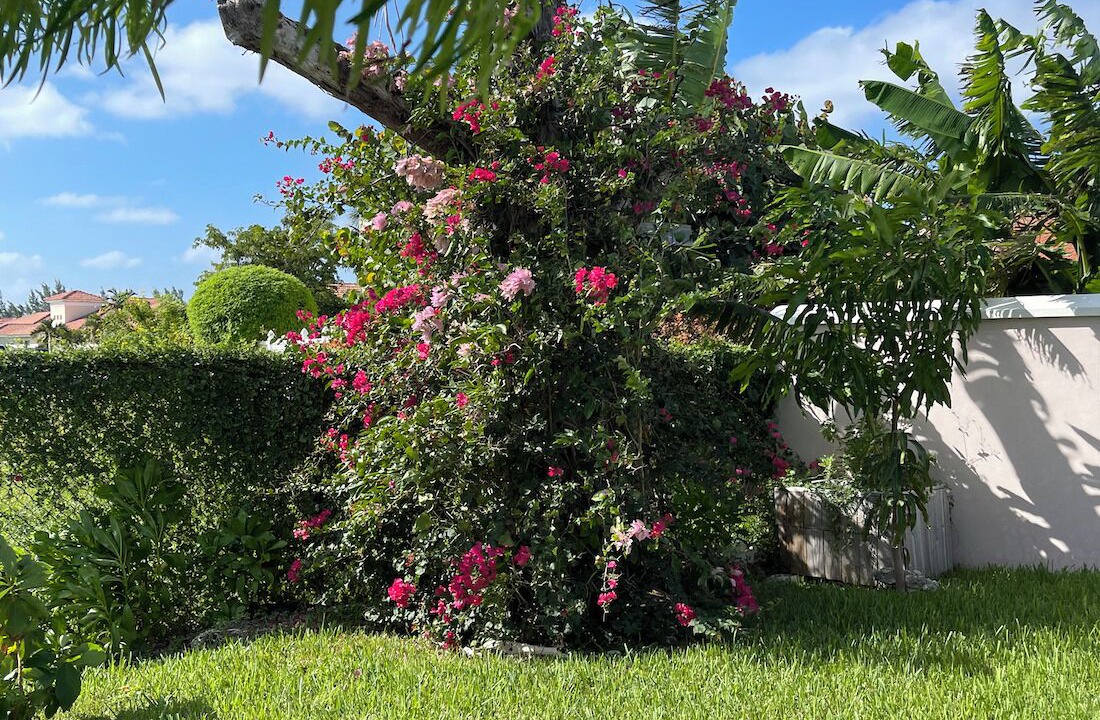 Photo of Others in Palm Cay