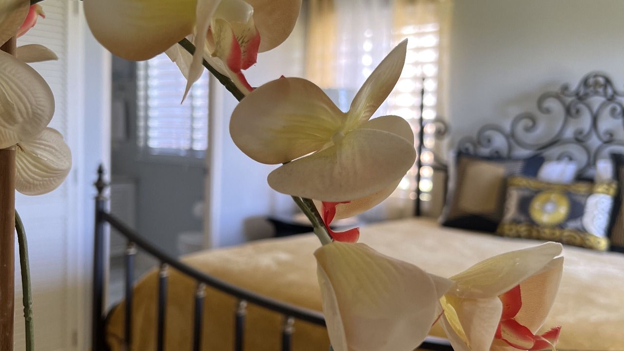 Photo of Bedroom in St. Ann's Bay