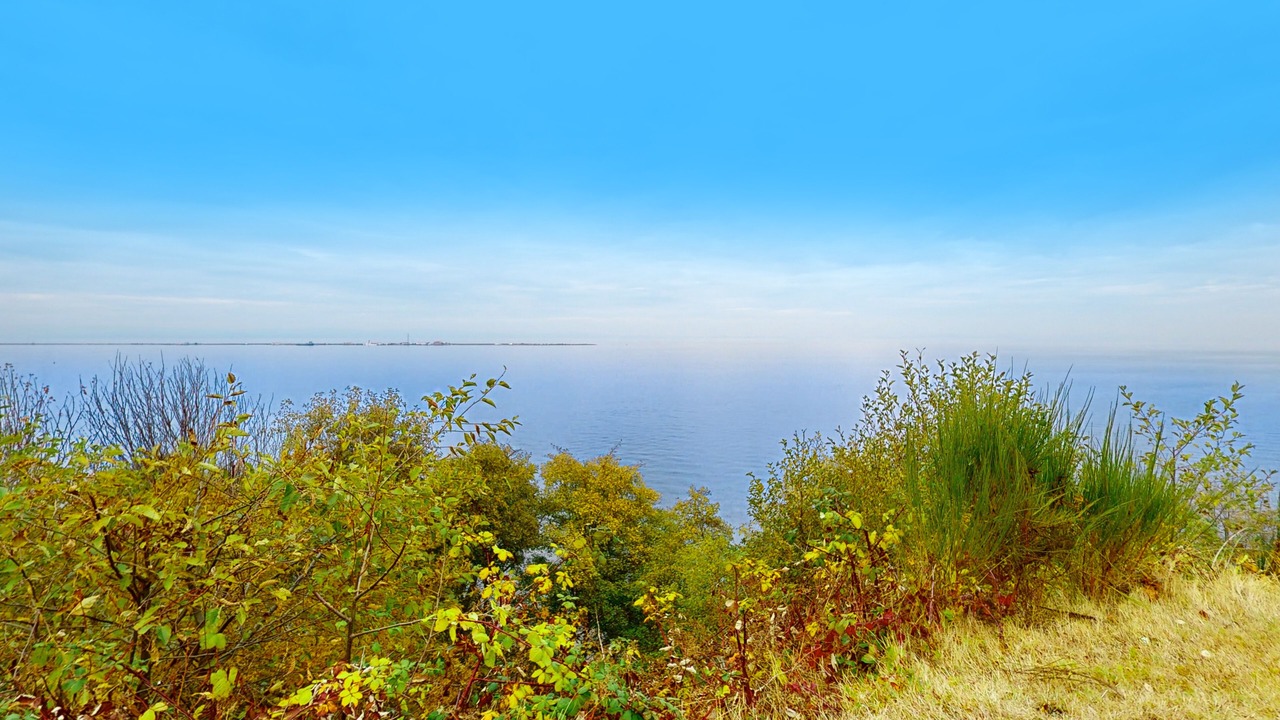 Photo of Others in Port Angeles East
