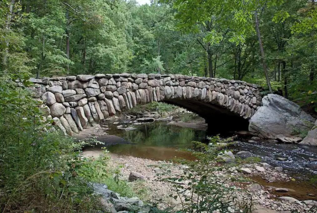 Photo of Others in Forest Hills