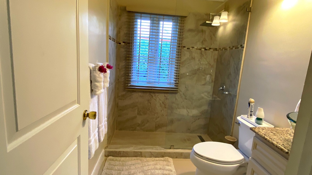 Photo of Bathroom in St. Ann's Bay
