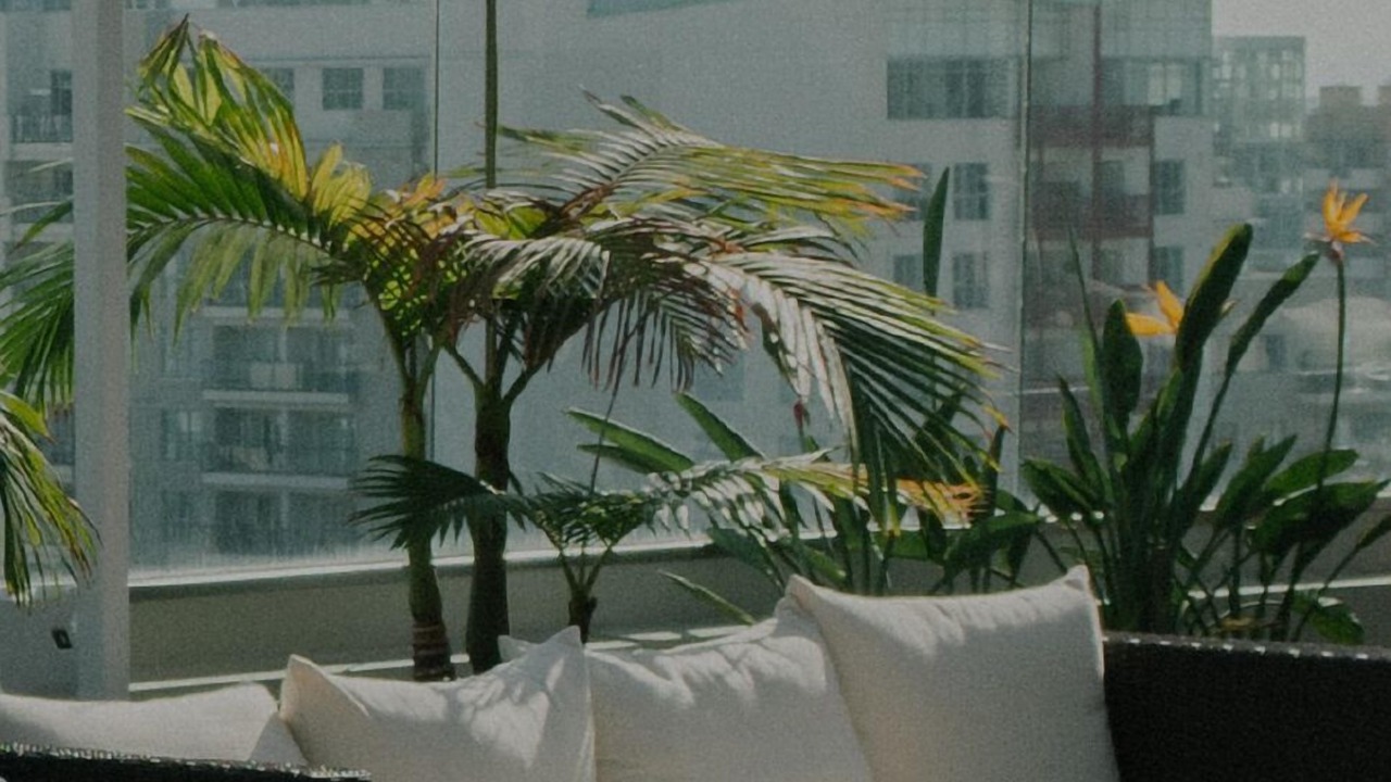 Photo of Outdoor in Shaw