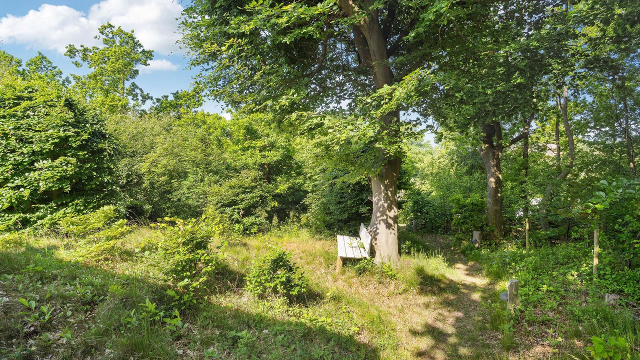 Photo of Others in Hvidbjerg Strand