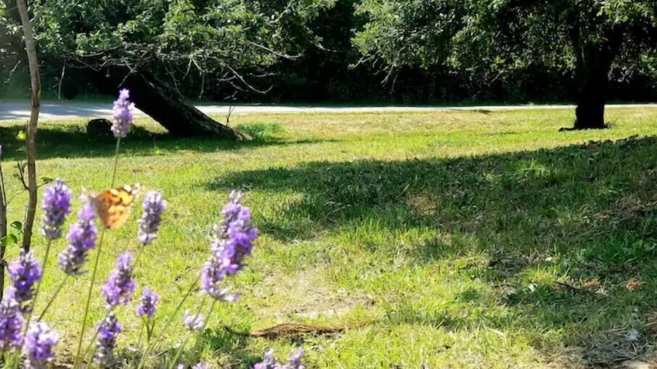 Photo of Outdoor in Port Angeles East
