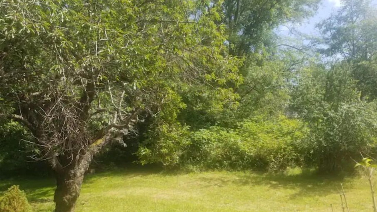 Photo of Outdoor in Port Angeles East