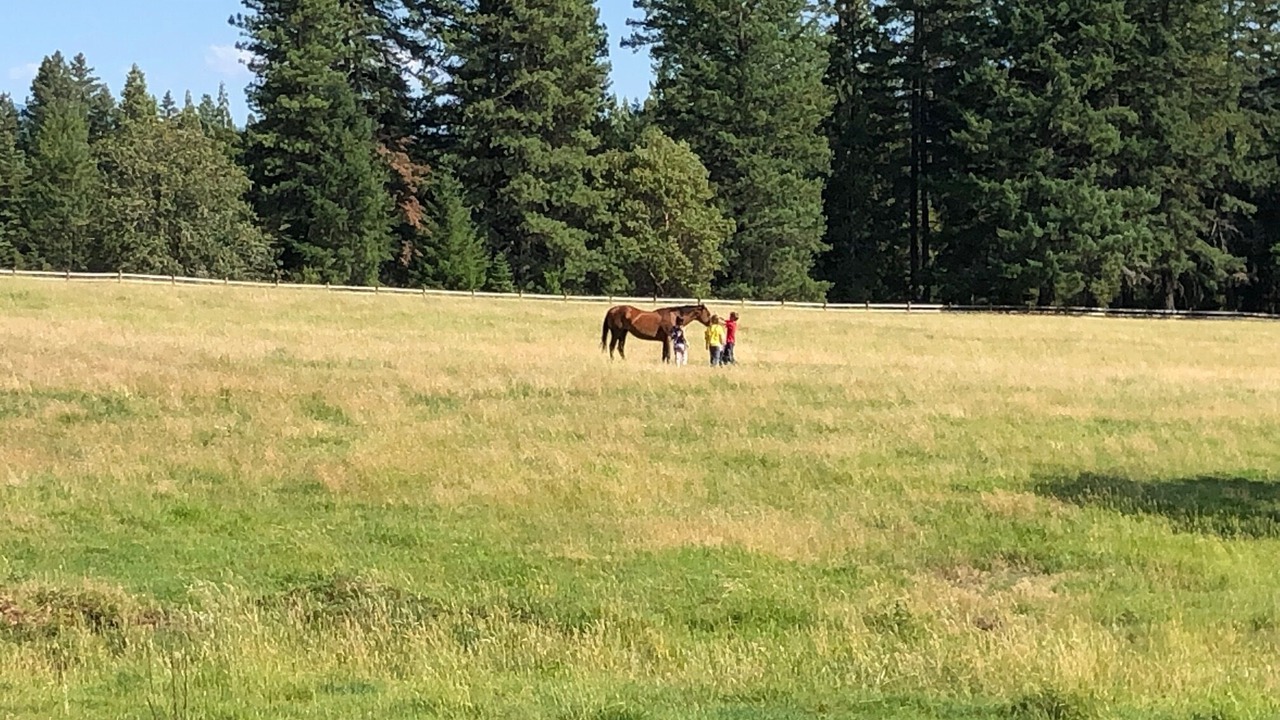 Photo of Others in Butte Falls