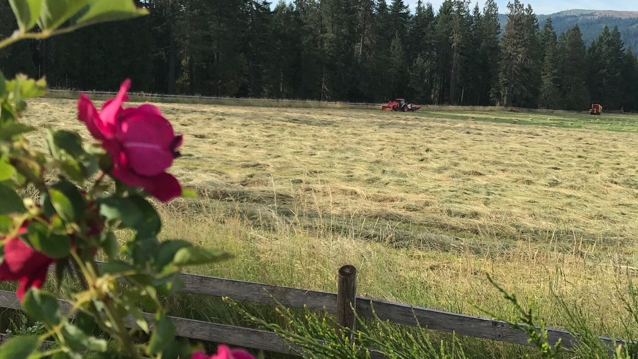 Photo of Others in Butte Falls