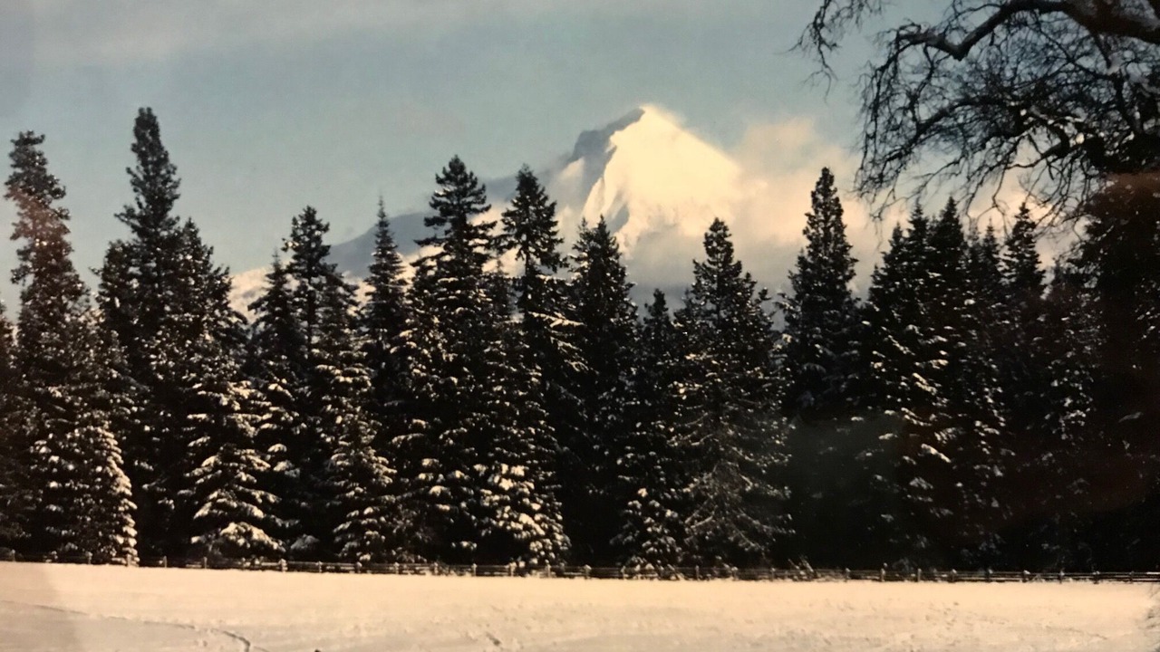 Photo of Others in Butte Falls