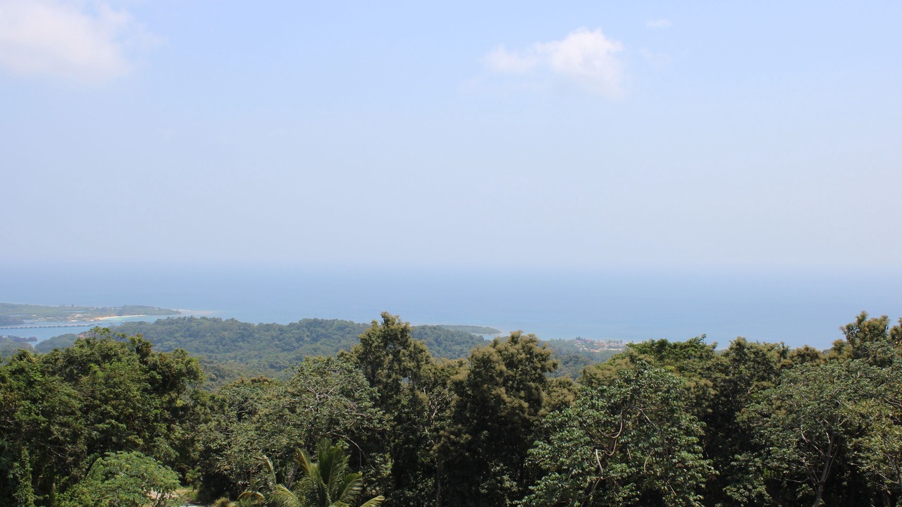 Photo of Outdoor in Dixon Cove