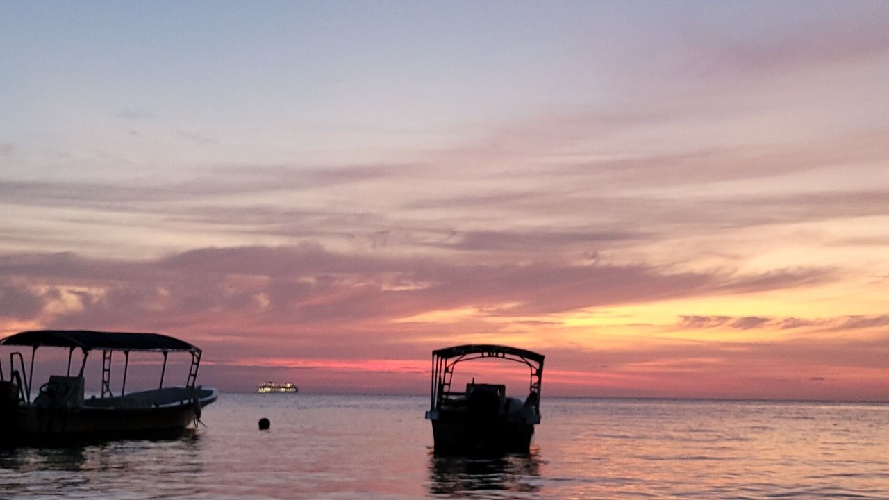 Photo of Outdoor in Dixon Cove