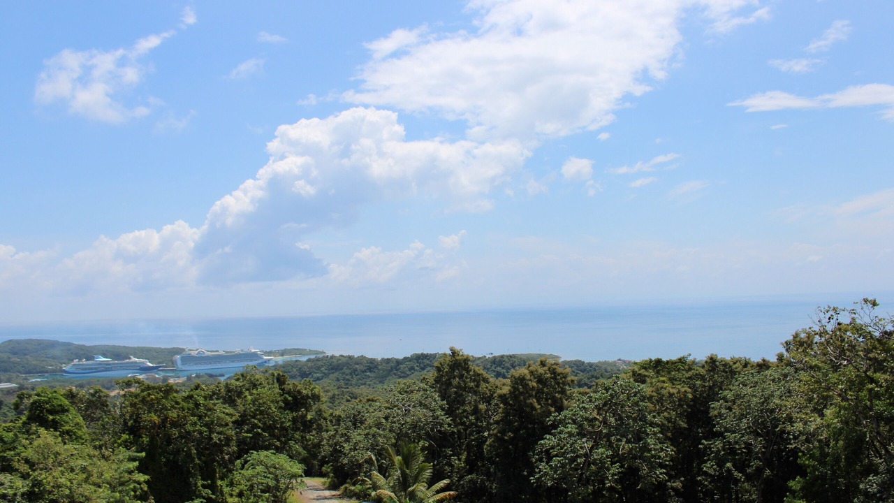 Photo of Outdoor in Dixon Cove
